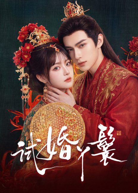 مشاهدة مسلسل خادمة المحاكمة The Trial Handmaiden الحلقة 8 مترجمة